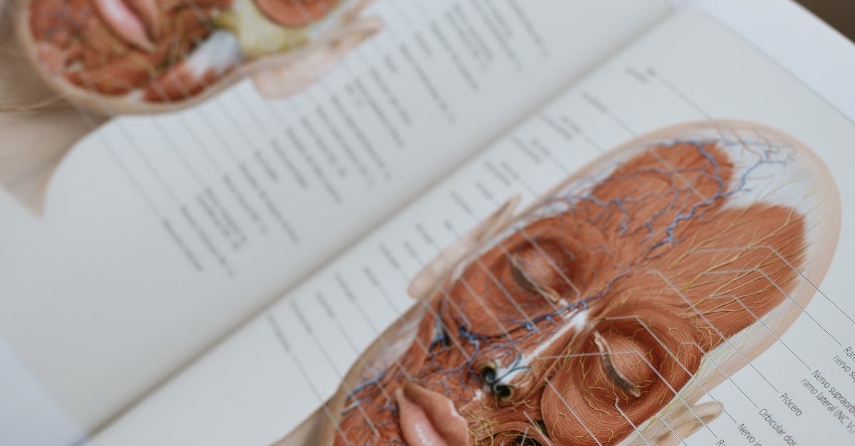 Potential Neurological Risks Associated with Long-term Botox Use